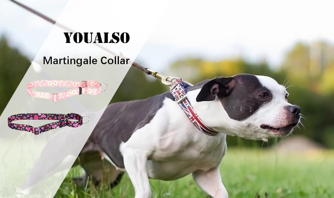 Thick Martingale Collar For Dogs, No-Slip Escape Proof Choke No Pull Cinch Soft Nylon Dog Training Collars Adjustable For Small