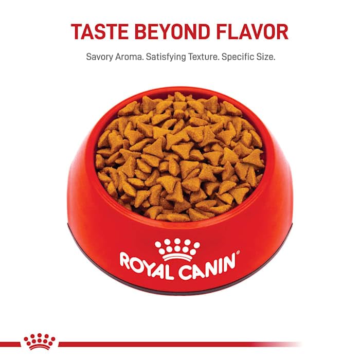 Royal canin Hairball care Dry cat Food, 6 lb bag
