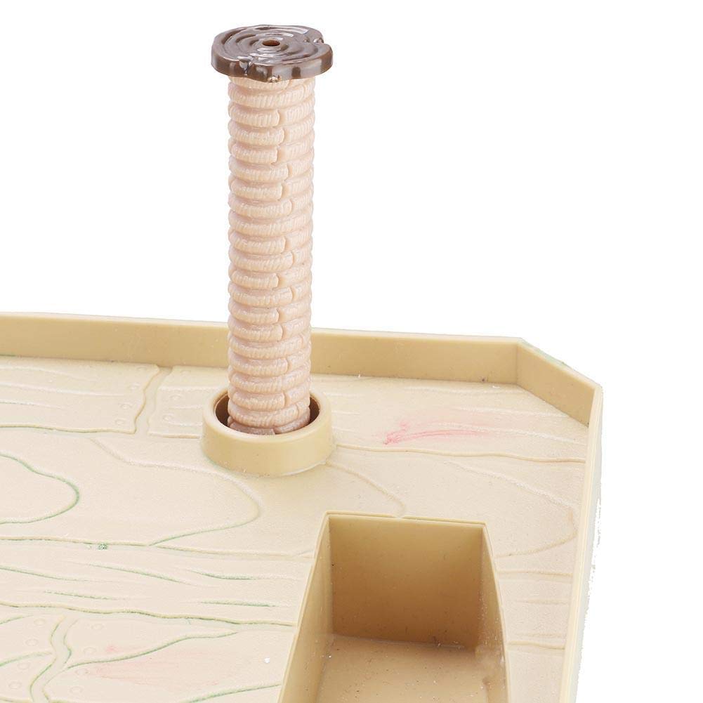 Hffheer Reptile Basking Tortoise Sunbathe Pier Aquarium Basking Reptile Climbing Ramp Hammock Fish Sunbathe Accessories