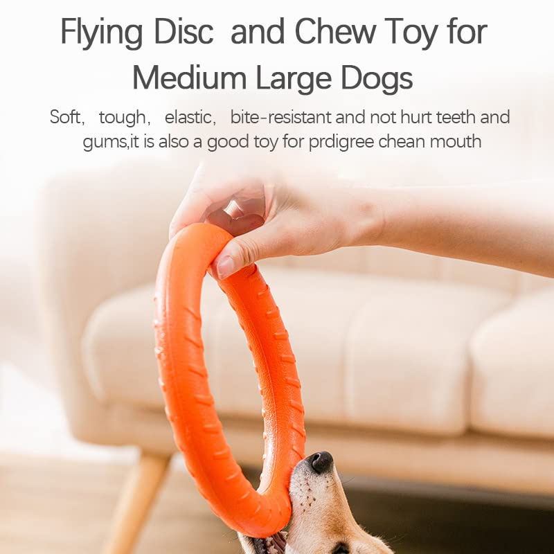 Dlder Dog Flying Disc Dog Chew Toy,Dog Toys For Aggressive Chewers Floating Dog Ring/Fetch Toys For Medium/Large Breeds Interact