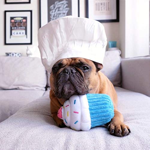 Zippypaws - Birthday Cupcake Squeaky Plush Dog Toy With Soft Stuffing - Blue Cupcake