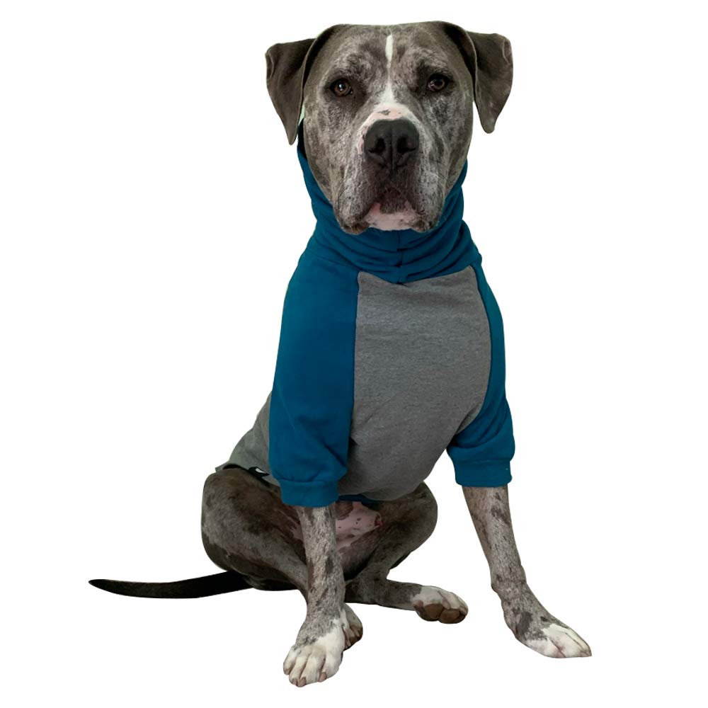 Tooth & Honey Large Dog Sweater - Pitbull, Teal & Grey (X-Large)