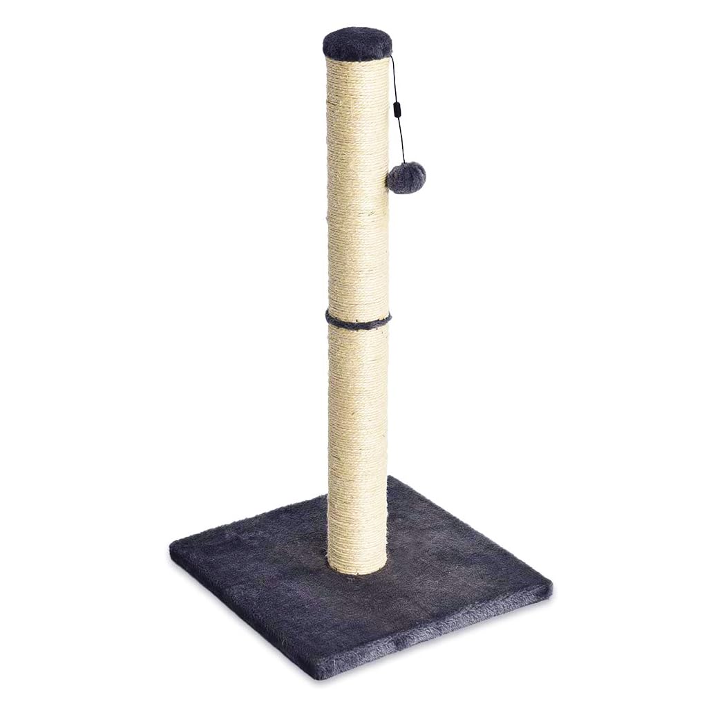 Amazon Basics Cat Scratching Post, Medium, 15.75' X 15.75' X 31.5'H, Grey