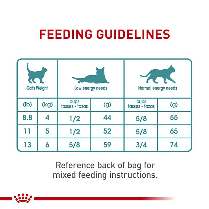 Royal canin Hairball care Dry cat Food, 6 lb bag
