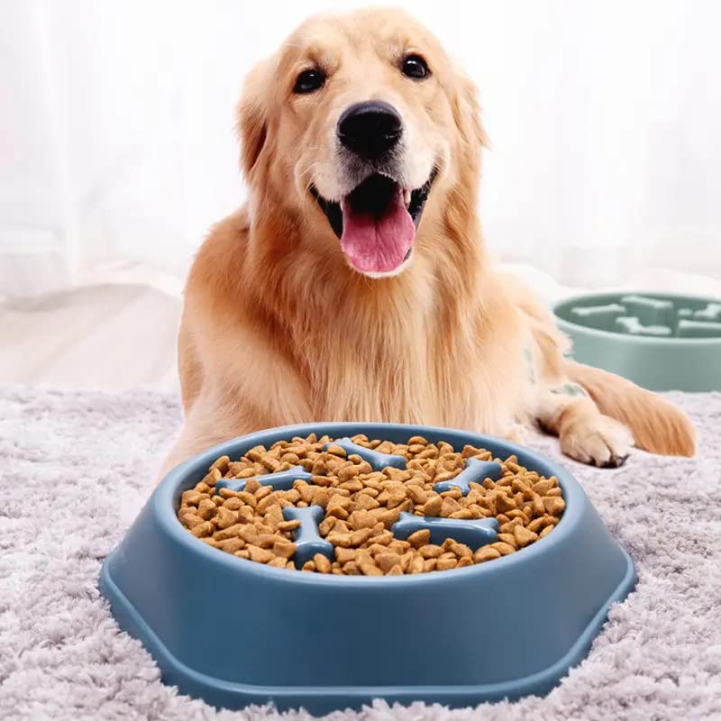 Rvpaws Slow Feeder Plastic Bowl, Non Slip And Durable Tray Fun Feeder Interactive Bloat Stop Dog Bowl (Color As Per Available)