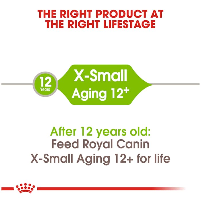 Royal Canin X-Small Aging 12+ Dry Dog Food, 2.5 lb bag