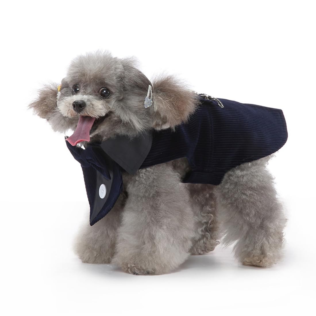 Doteyayp Puppy Velvet Tuxedo With Detachable Bowtie Prom Wedding Formal Wear Prince Costume For Small Dog (Small, Navy)