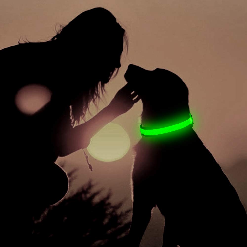 Flashseen Led Dog Collar,Usb Rechargeable Light Up Dog Collar Lights,Adjustable Comfortable Soft Mesh Safety Dog Collar For Small, Medium, Large Dogs(Small, Neon Green)