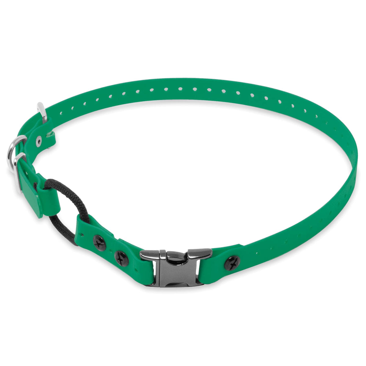 Educator Quick Snap Bungee Dog Collar, Biothane, Waterproof, Odorproof, Easy Connect And Disconnect Clasp And D Ring With Comfort Bungee Loop, Adjustable For Custom Fit, 3/4-Inch, Green