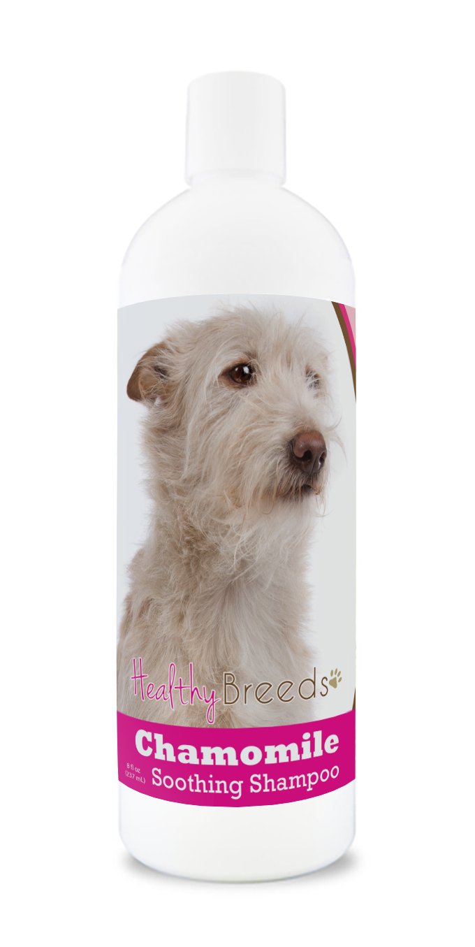 Healthy Breeds Portuguese Podengo Pequeno Chamomile Soothing Dog Shampoo 8 oz