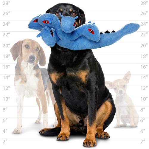 Mighty- Hydra Dragon- Squeaker-Multiple Layers. Made Durable, Strong & Tough. Interactive Play (Tug, Toss & Fetch). Machine Washable & Floats