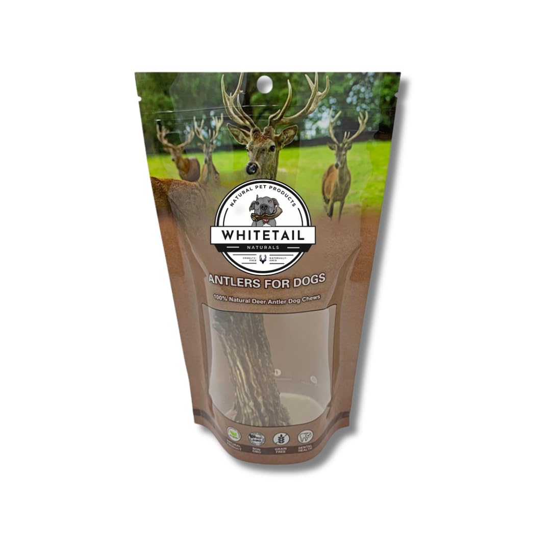WhiteTail Naturals - Deer Antlers for Large Dogs - (1 Pack - Extra Large) - All Natural Dog Antler- Naturally Shed, Long Lasting