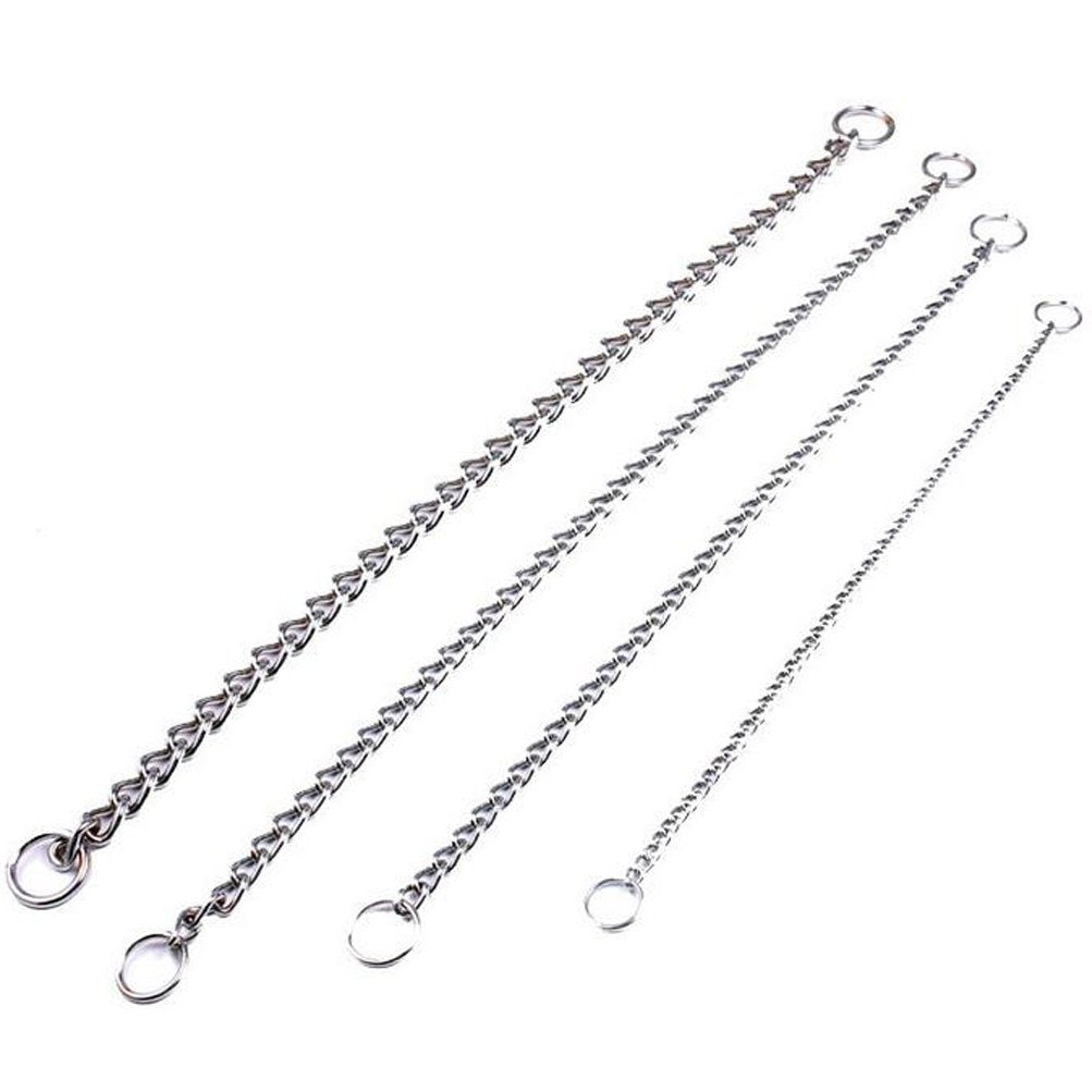 Sgoda Chain Dog Training Choke Collar, 22 In, 3 Mm