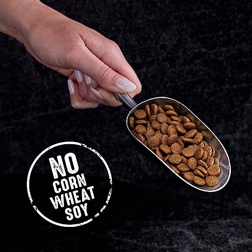 CRAVE High Protein Grain Free Dry Cat Food, Chicken, 4 lb Bag