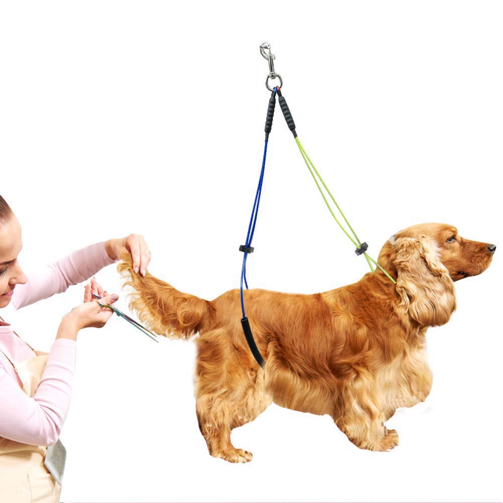 Dog Grooming Loop No-Sit Haunch Holder Wash Choker With Loop Noose Double Noose Ropes Adjustable Loop Noose Dog Grooming Leash D