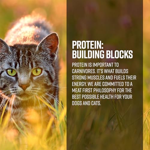Essence Ocean & Freshwater Grain-Free Dry Cat Food 4lb