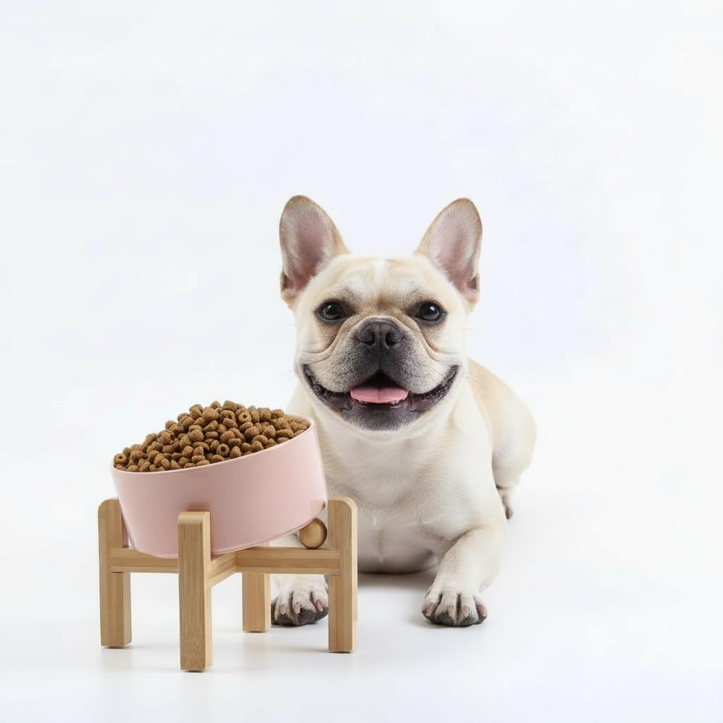 Petygooing Khaki Raised/Elevated 15Slanted Ceramic Dog Bowl for Small Breeds,Tilted Anti Slip Pet Feeding Bowl,Food Water Dish w