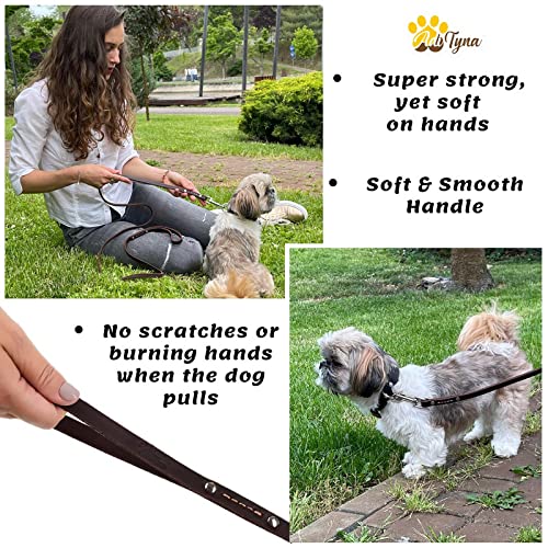 Adityna - Premium Leather Dog Leash - 6 Ft, Heavy-Duty, Soft & Strong For Small/Medium Dogs - Perfect For Walking, Training, Hik