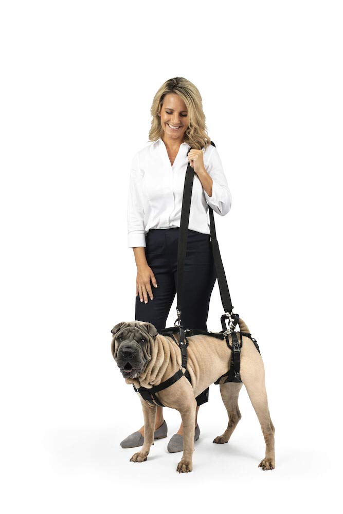 Petsafe Carelift Support Harness - Full Body Lifting Aid With Handle - Great For Pet Mobility And Older Dogs - Comfortable, Breathable Material - Easy To Adjust, Medium