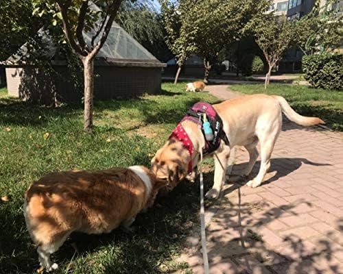 Dog Poop Bags Holder With Led Flashlight|Pet Waste Bags Dispenser For Leash|Doggie Potty Bags Container With Leak-Proof Pet Tras