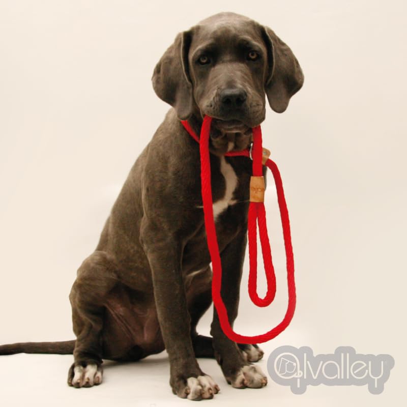 Alvalley Rope Dog Leashes With Stopper - Pet Slip Leads For Dogs - Soft Braided No-Pull Gentle Leash - Adjustable For Small, Medium, Large And Extra Large Dogs (Black, 6Ft Long, 9Mm Thick)