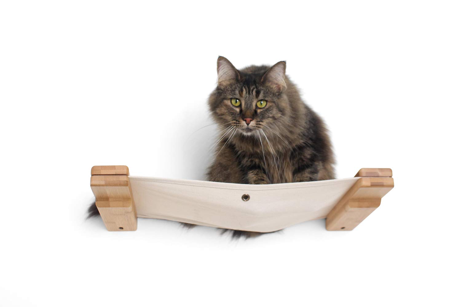 Catastrophicreations Cat Lounge Hammock Wall Mounted Lounger For Climb And Play Furniture Cat Tree Shelves