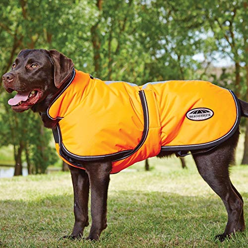 Weatherbeeta Comfitec Reflective Parka 300D Deluxe Dog Coat, Orange, 18''