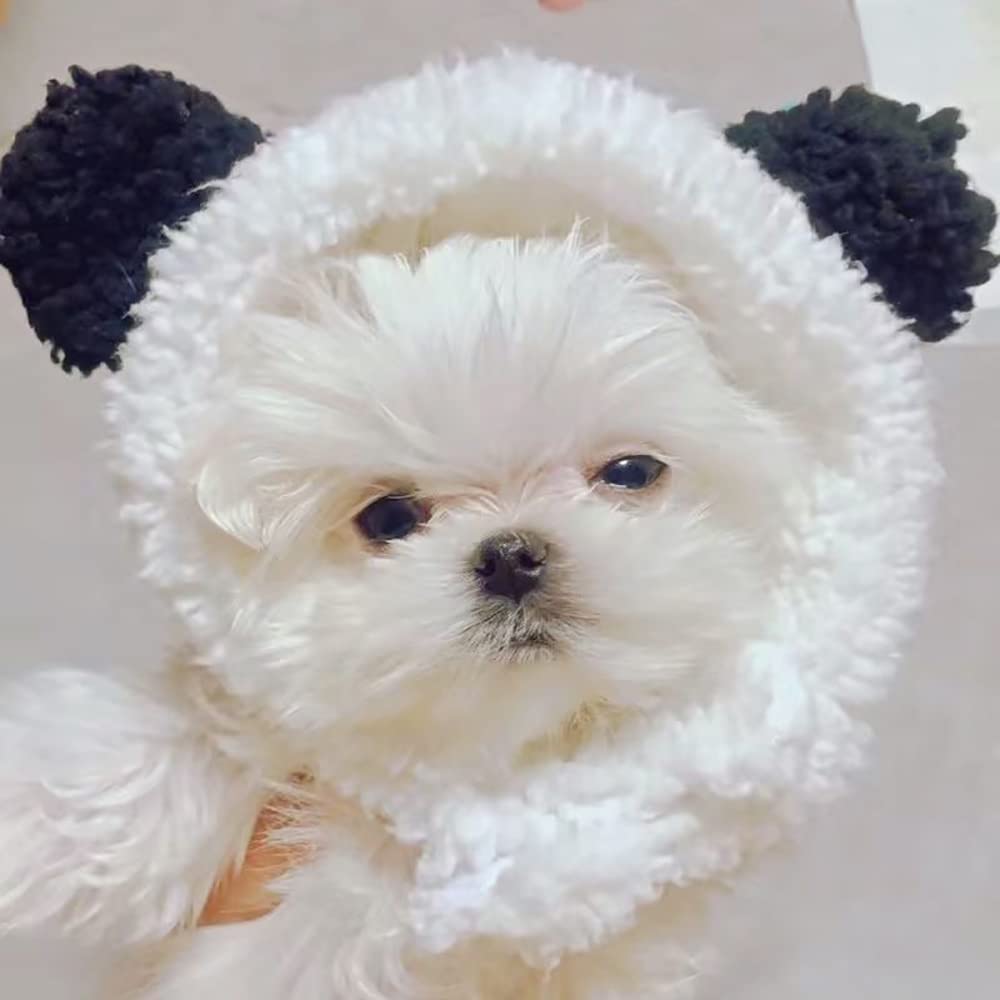 Joicee Cute Cat Costume Warm Bear Hat For Cat Adjustable Soft Small Pet Headwear Bear Hat For Cat Puppy Dog (Black&White)