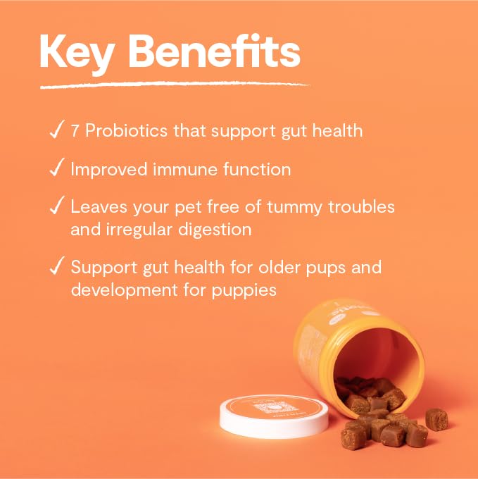 Open Farm Probiotic Chews, Dog Supplement, Dog Vitamins, Supports Normal Flora and Bowel Movement Using Traceable and Vet-Approv