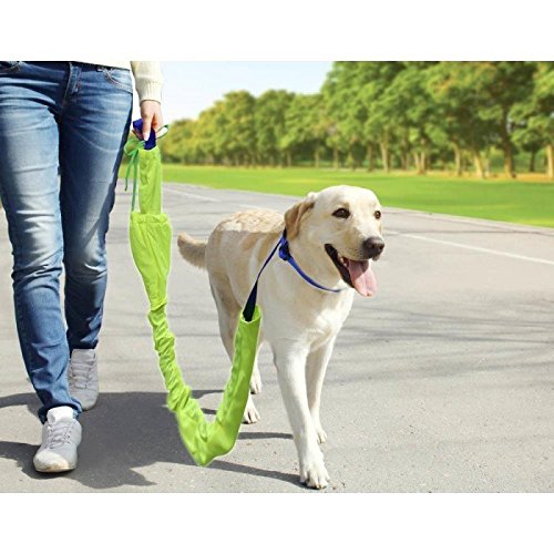 Smart Living Reflective Pet Leash
