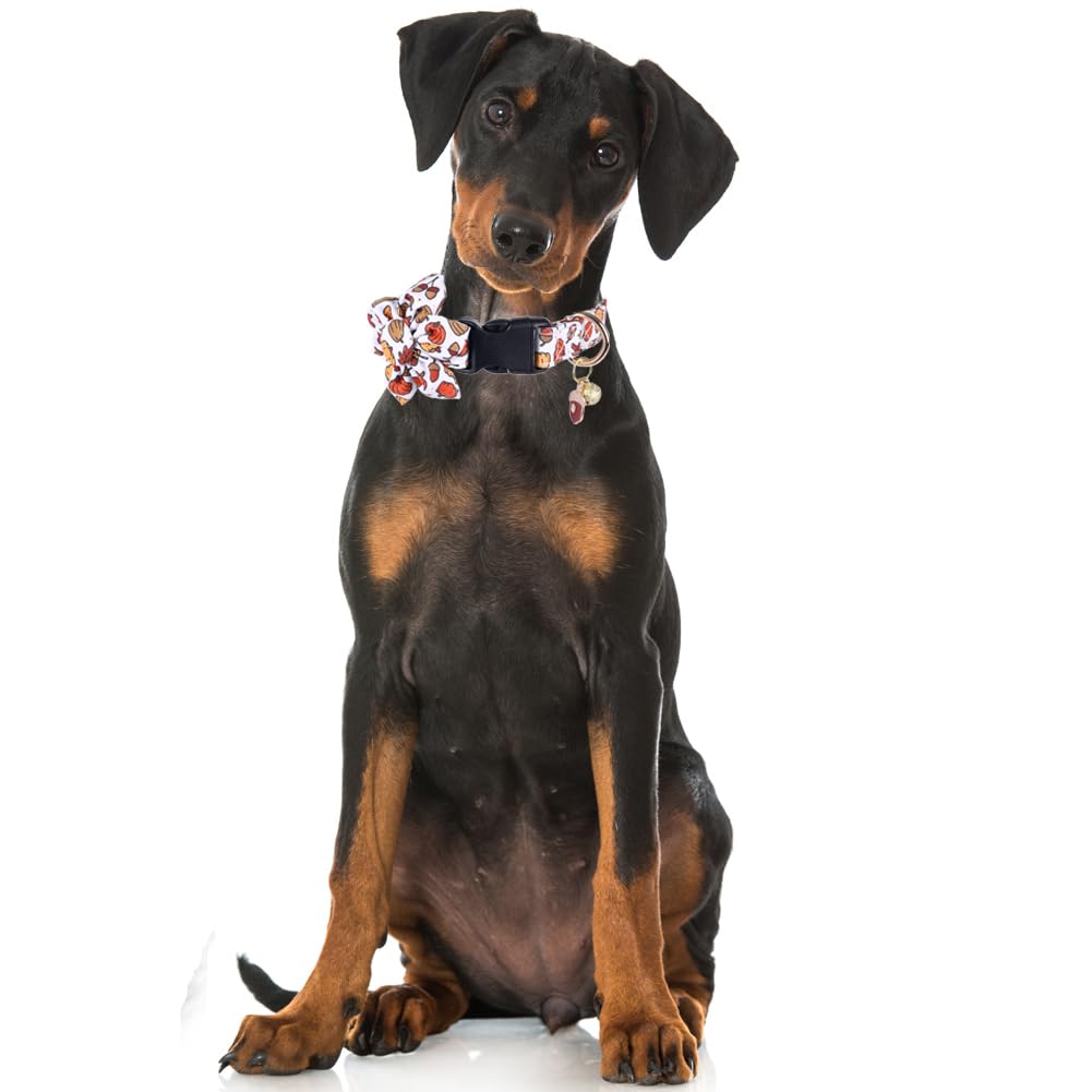 Thanksgiving Day Dog Collar Fall With Sunflower And Bell Autumn Holiday Adjustable Pet Collars For Dogs (Acorn,Medium)
