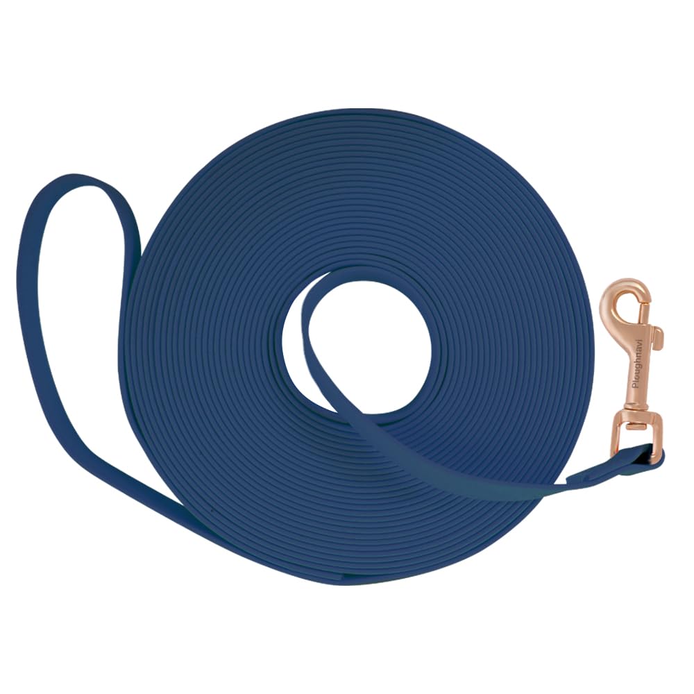 Dog Leash Waterproof Longline, Long Leash For Outdoor Training, Beach, Yard, Play, Camping, Swimming