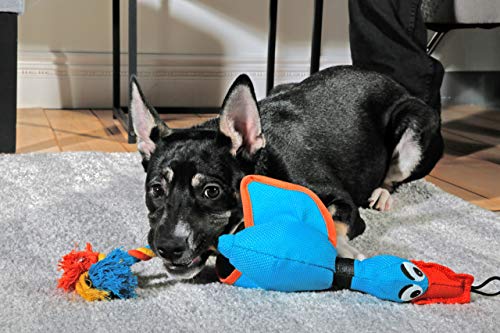 Hartz Tuff Stuff Nose Divers Plush Duck Tug Dog Toy - Small