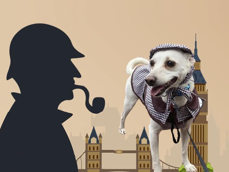 Dog Halloween Costume Famous Detective Dog Costume, Dog Detective Costume Halloween For Dogs Outfit Pet Costume, Funny Dog Cosplay Costume Small Dog Halloween Costume For Christmas Birthday Party