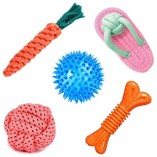 Dog Trust Toys for Puppies & Small Dogs Toys SpikeDog Trust Ball Toy | Rope Ball Toy | Gums Cleaner Correct Rope Toy | Cotton Po