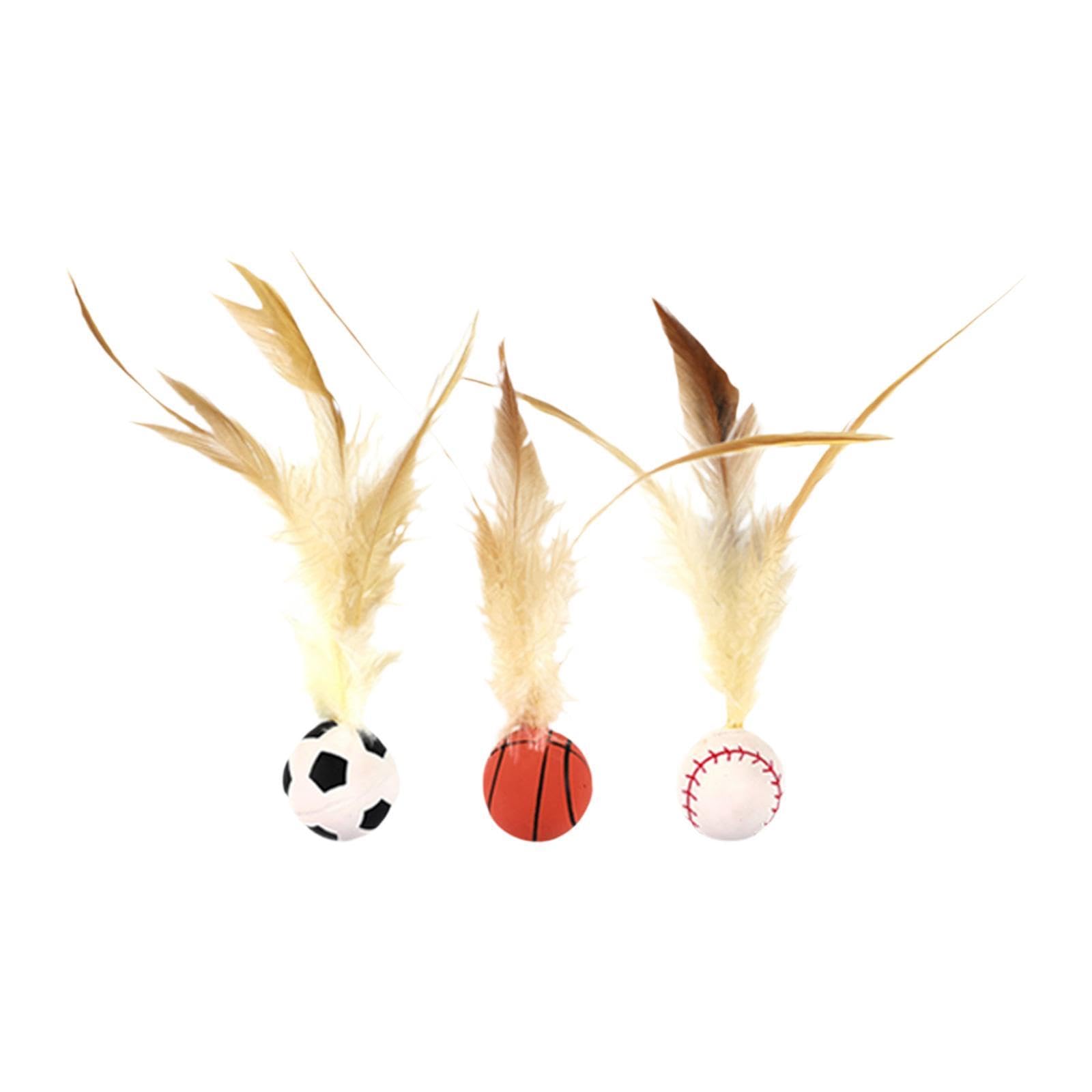 Ecomistiq Cat Ball Toy Funny Interactive Cats For Pet Dog Indoor Cats| Toys| Supplies |Pet