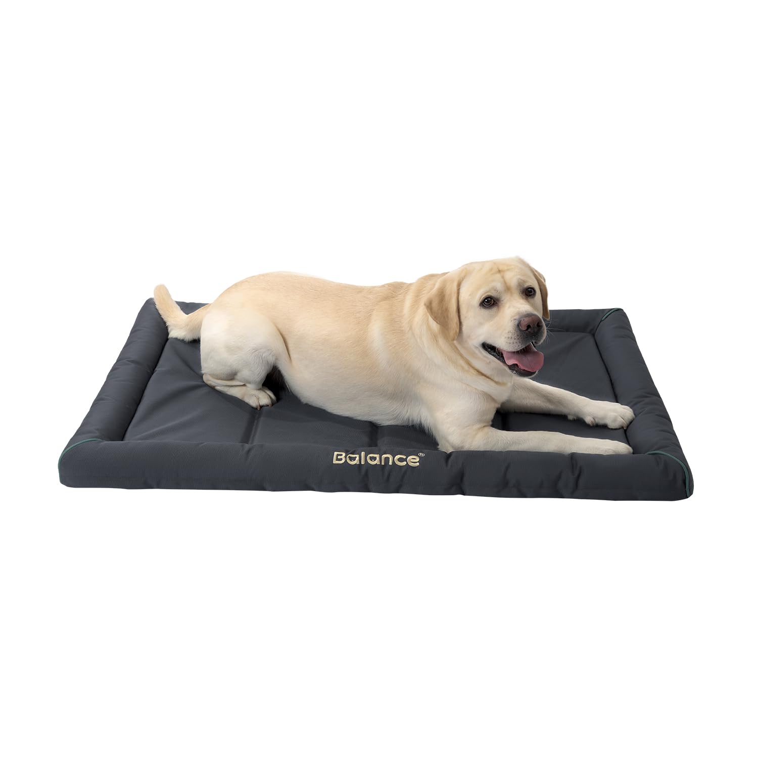 BALANCE Oxford Dog Bed for Extra Large Dogs, Waterproof Dogs Crates Pad Outdoor 2XL Dog Crate Mat, Wipe Clean & Easy Rinse, 48 i