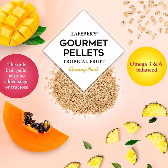 LAFEBERS Tropical Fruit Gourmet Pellets Pet Bird Food, No Added Sugar, Made with Non-GMO and Human-Grade Ingredients, for Canar