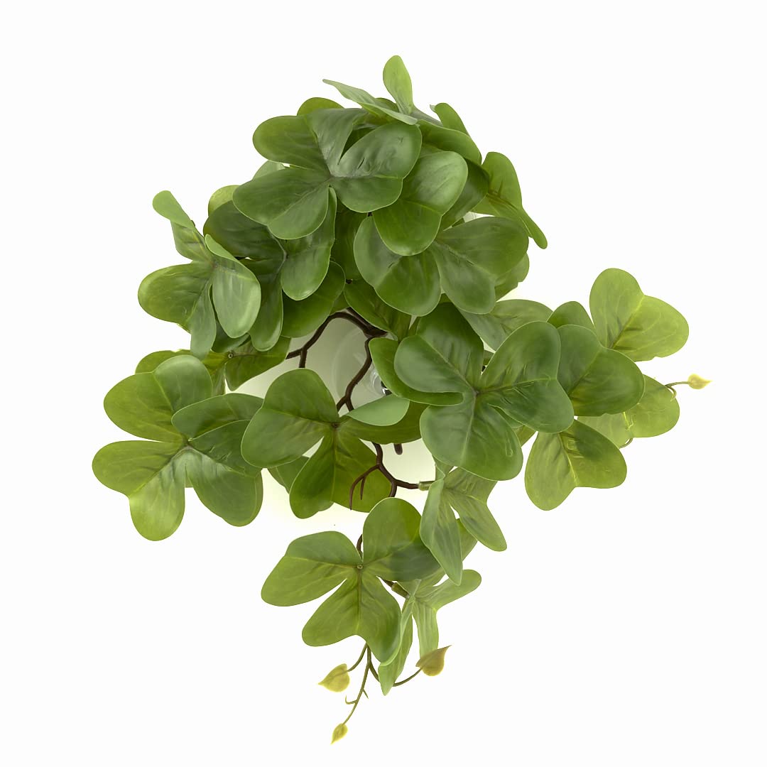 Woledoe Reptile Plants For Terrarium, Amphibian Habitat Decor Artificial Hanging Plants With Suction Cup - Fake Shamrock