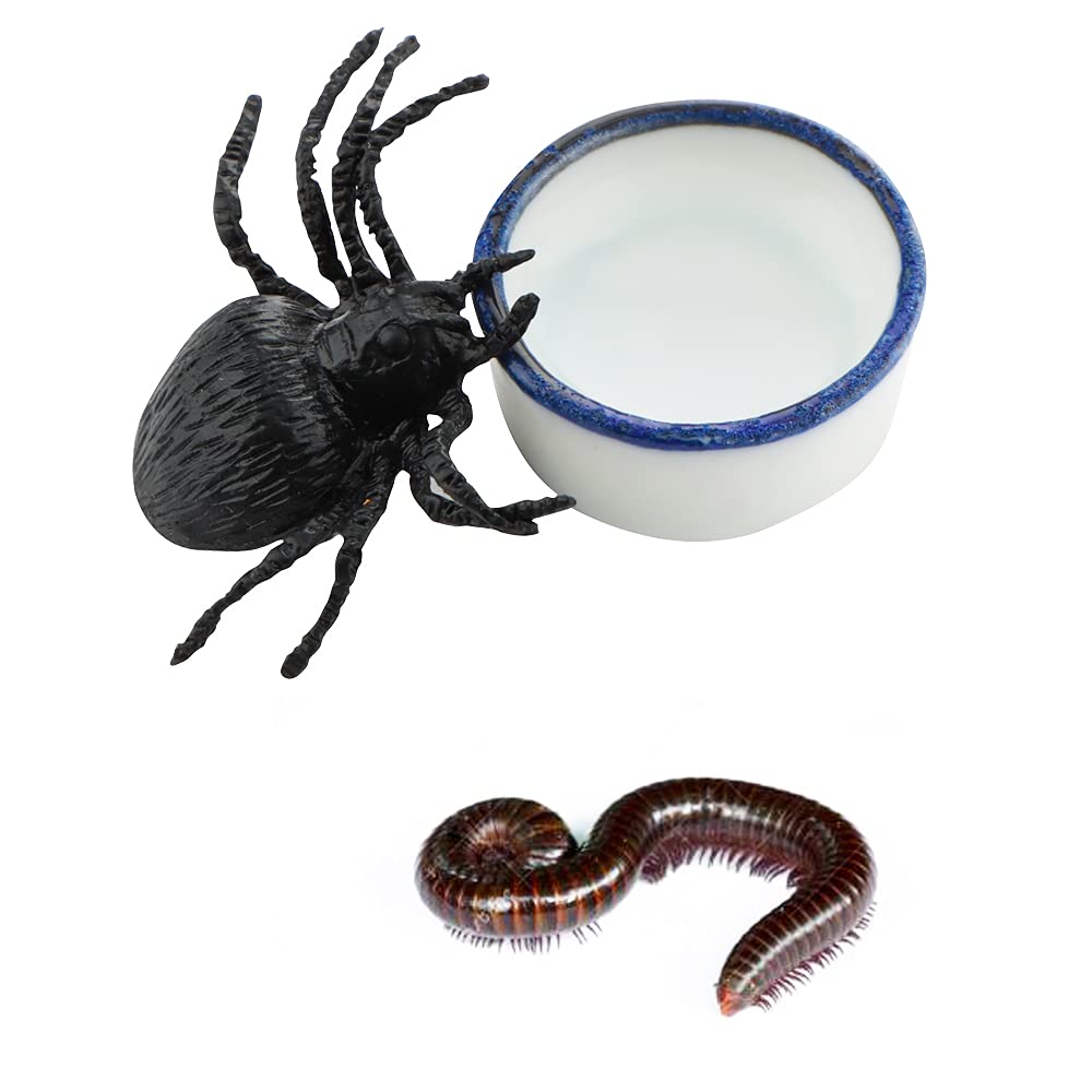 9 Pcs Spider Micro Water Bowl Tarantula Mini Ceramic Dish For Tarantula Spider Millipede Tiny Bugs (Small Size: 0.86 D, 0.43