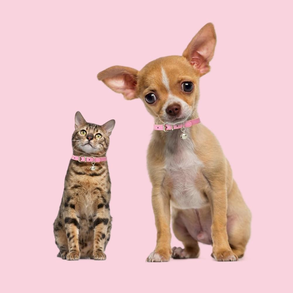 Gold Xs Dog Collar With Bell,Cat Collar With Bell,Soft Pu Leather Bell Collar For Small Dogs Adjustable Buckle For Xxs Extra Sma
