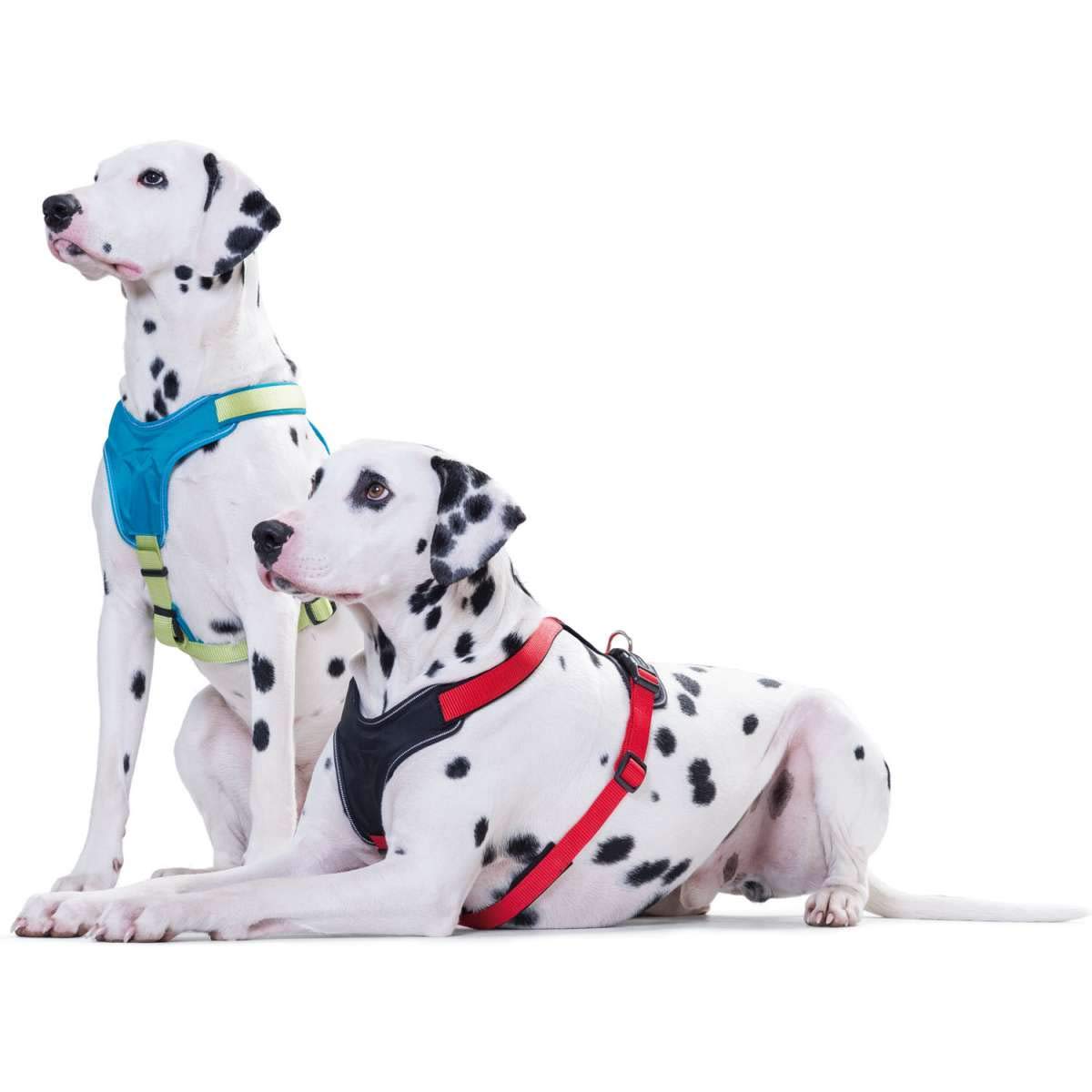 Hunter Neoprene Dog Harness, X-Small, Red/Black