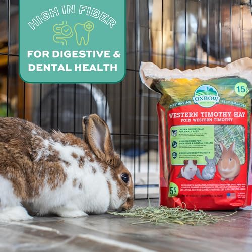 Oxbow Animal Health Western Timothy Hay - All Natural Hay for Rabbits, Guinea Pigs, Chinchillas, Hamsters & Gerbils - 15 oz.