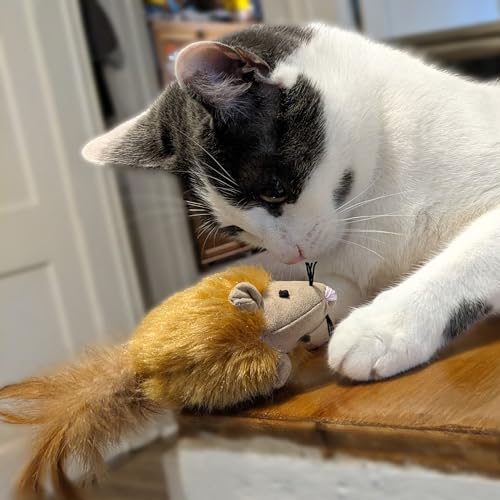 Squeakeeez Mouse Assorted/Touch Activated/Realistic Mouse Sound/With Catnip And Silver Vine Blend/Cat Toy