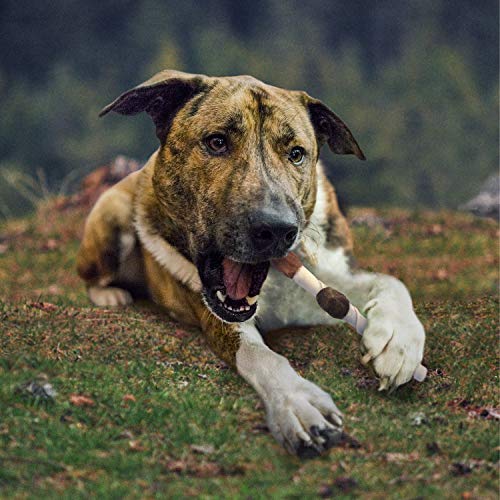 Cadet Gourmet X-Large Triple-Flavored Beef Hide Shish Kabob Dog Treats - Healthy & Natural Chicken, Liver, and Sweet Potato Dog