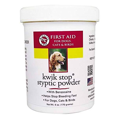 GIMBORN Kwik Stop Styptic Powder Dog Cat & Bird Nail Care (Kwik Stop Powder - 6 oz)