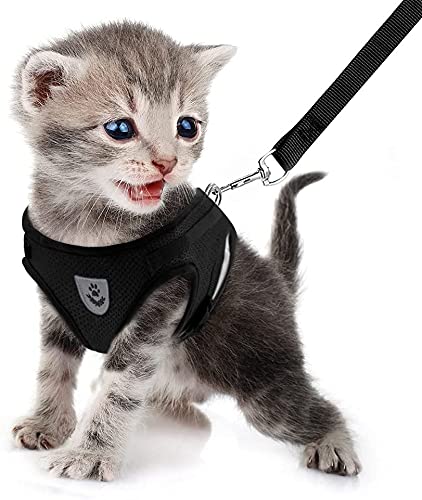 FEimaX Dog Harness and Leash Set for Walking, Soft Mesh Adjustable Easy Control Lightweight Cat Vest Harnesses with Reflective Strips, Escape Proof Small Dogs Cats Vests (Black, Medium) -Like New