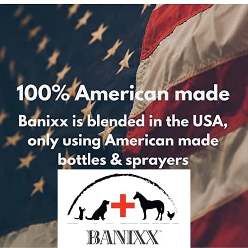 BANIXX Wound Care Cream w/Marine Collagen 4oz