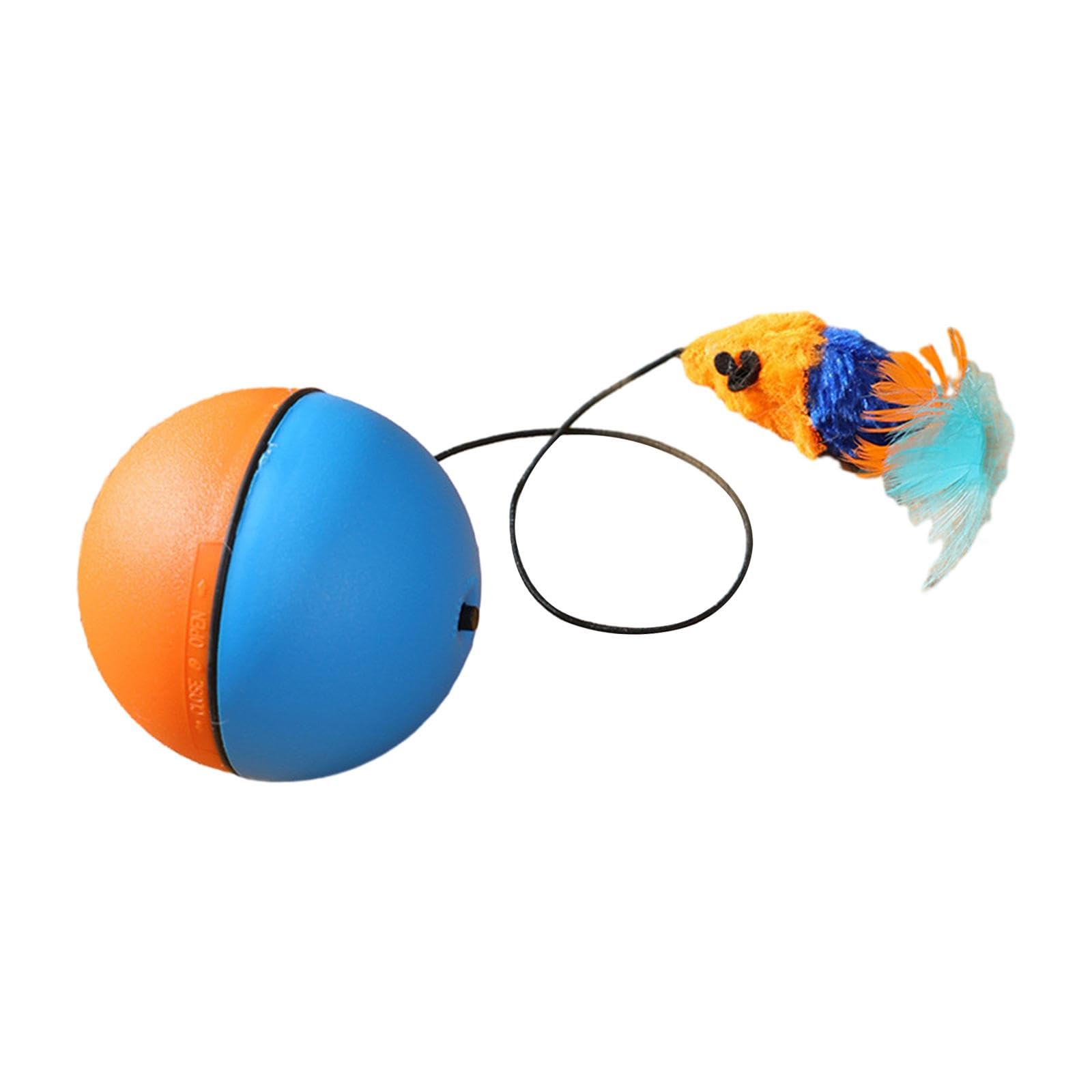 Enakshi Interactive Cat Toys Ball Teaser Toys Ball Cat Toys For Kitty Chasing Blue And Orange | Pet Supplies | Cat Supplies | To