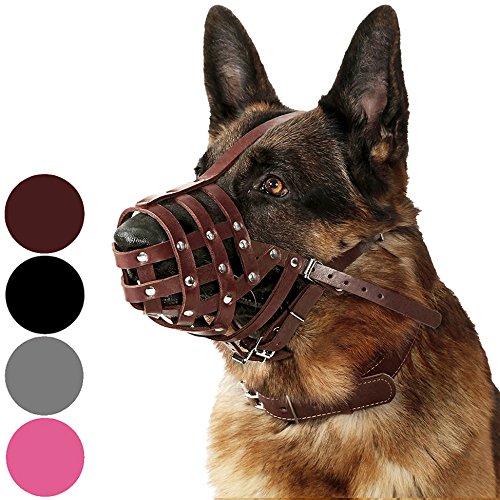 Collardirect Dog Muzzle German Shepherd Dalmatian Doberman Setter Leather Basket Medium Large Breeds Black Brown (M, Chestnut Brown)
